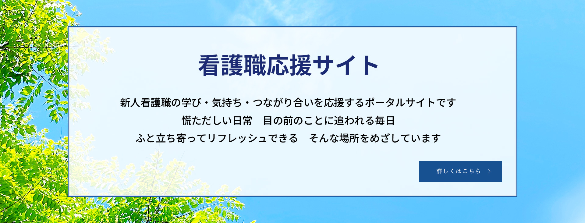 看護職応援サイト_PC
