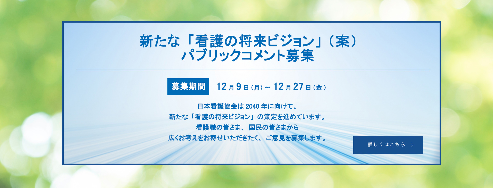 新たな「看護の将来ビジョン」(案)に関する意見募集について_PC