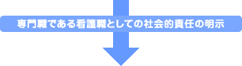 専門職である看護職としての社会的責任の明示