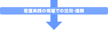 看護実践の現場での活用・展開