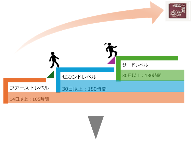（画像）CNA教育体系1