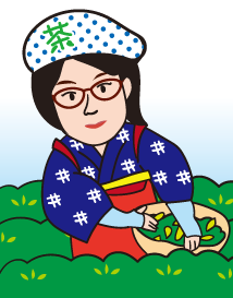 茶摘みをする田母神理事