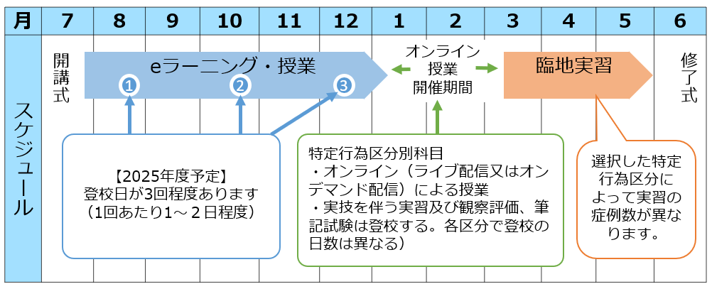 受講スケジュールのイメージ