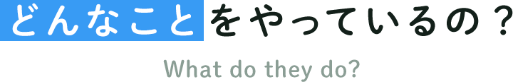 どんなことをやっているの？ What do they do?